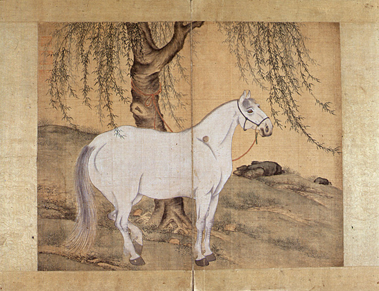 1619161.jpg