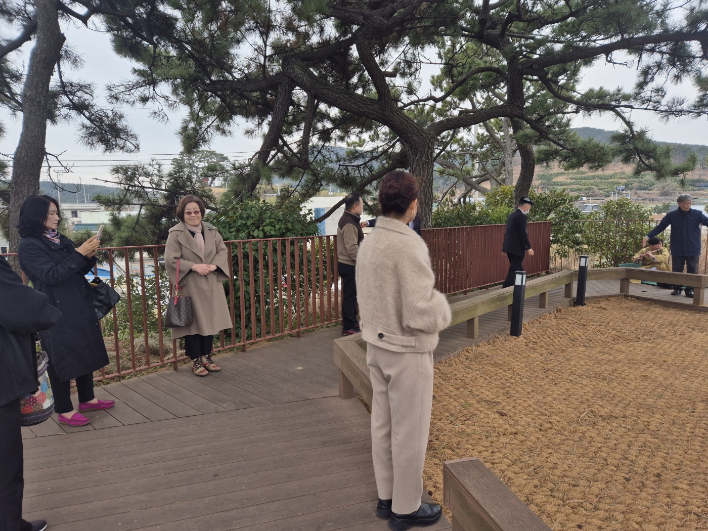 1741916884100-12.jpg