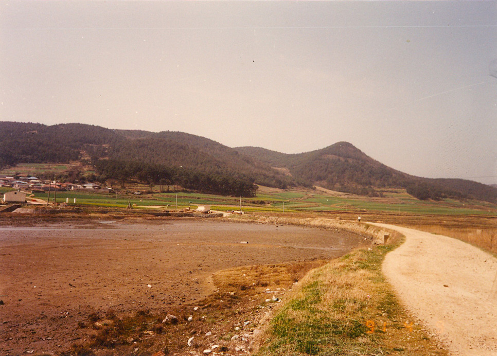 gulpo001.jpg