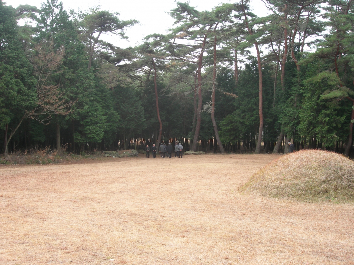 DSCN1356.JPG