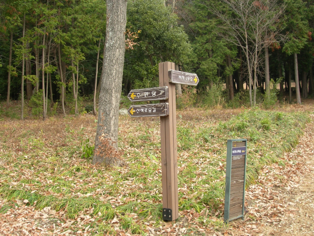 DSCN1359.JPG