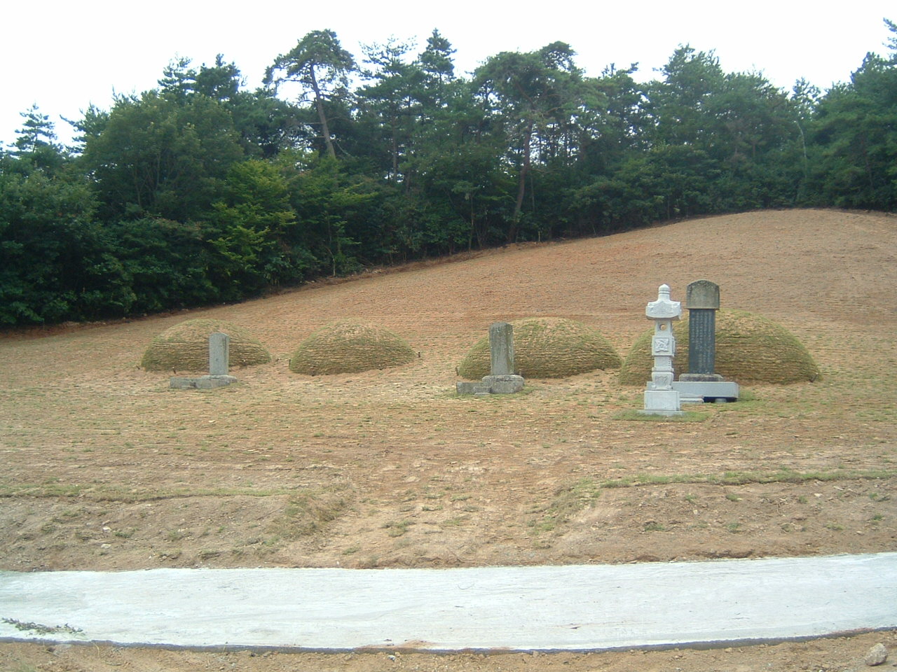 DSCF0018.JPG