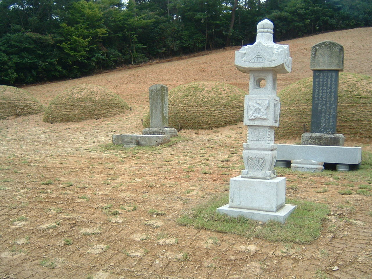 DSCF0015.JPG