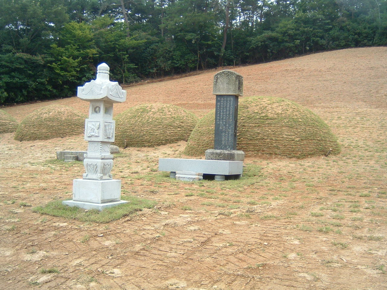 DSCF0014.JPG
