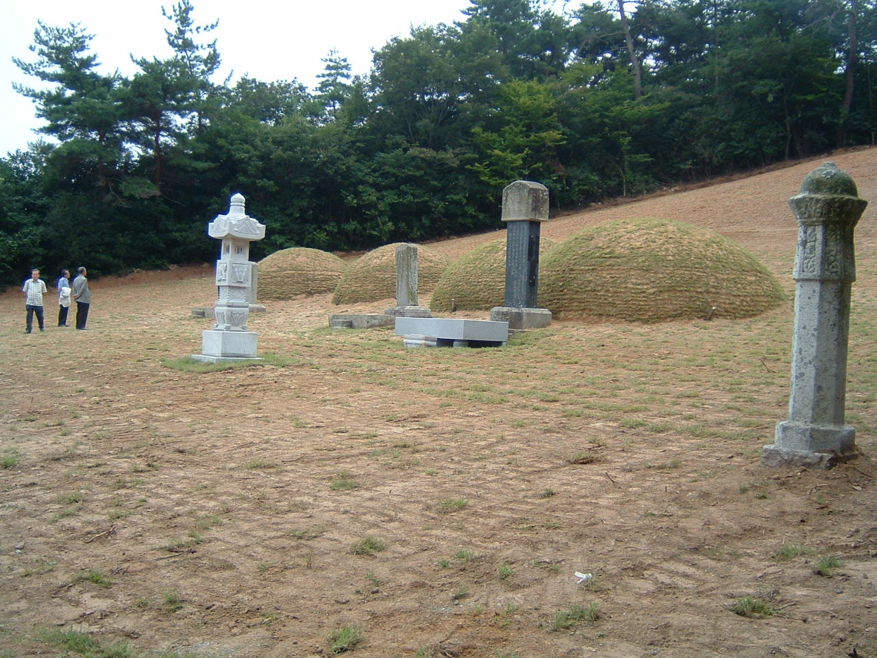 DSCF0013.JPG