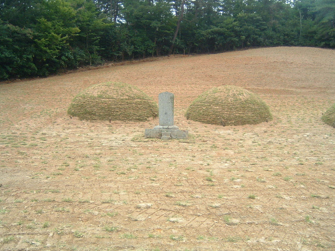 DSCF0017.JPG