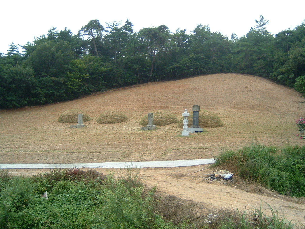 DSCF0019.JPG