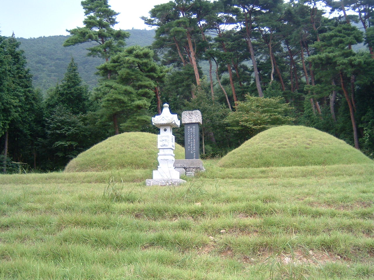 DSCF0008.JPG