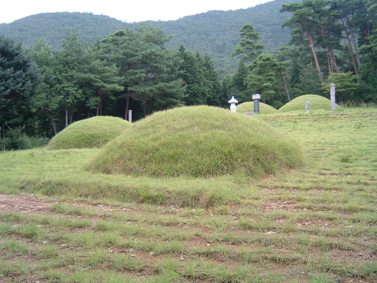 DSCF0010.JPG