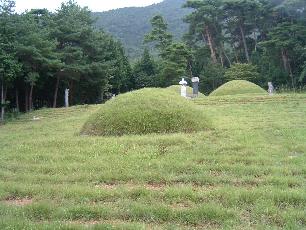 DSCF0009.JPG