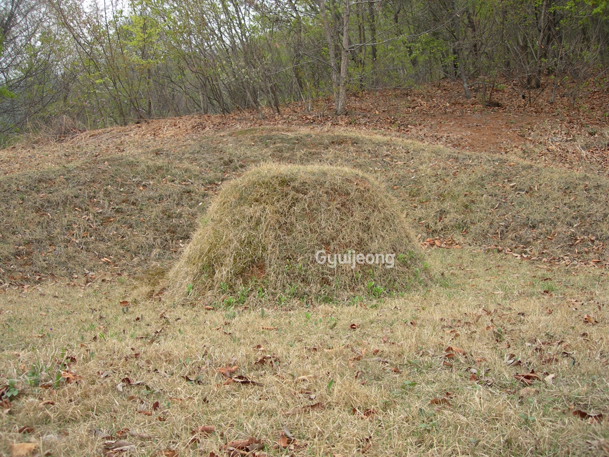 DSCN0790.JPG