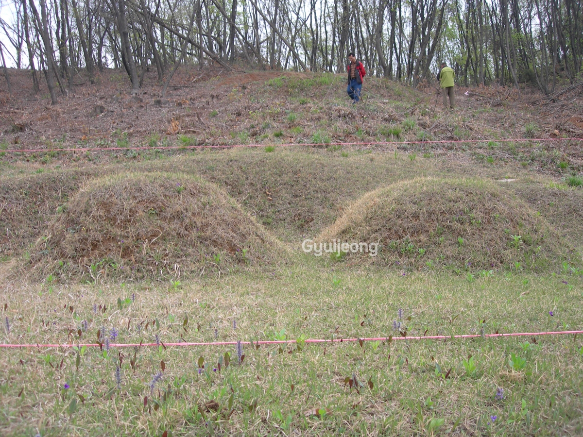 DSCN0784.JPG