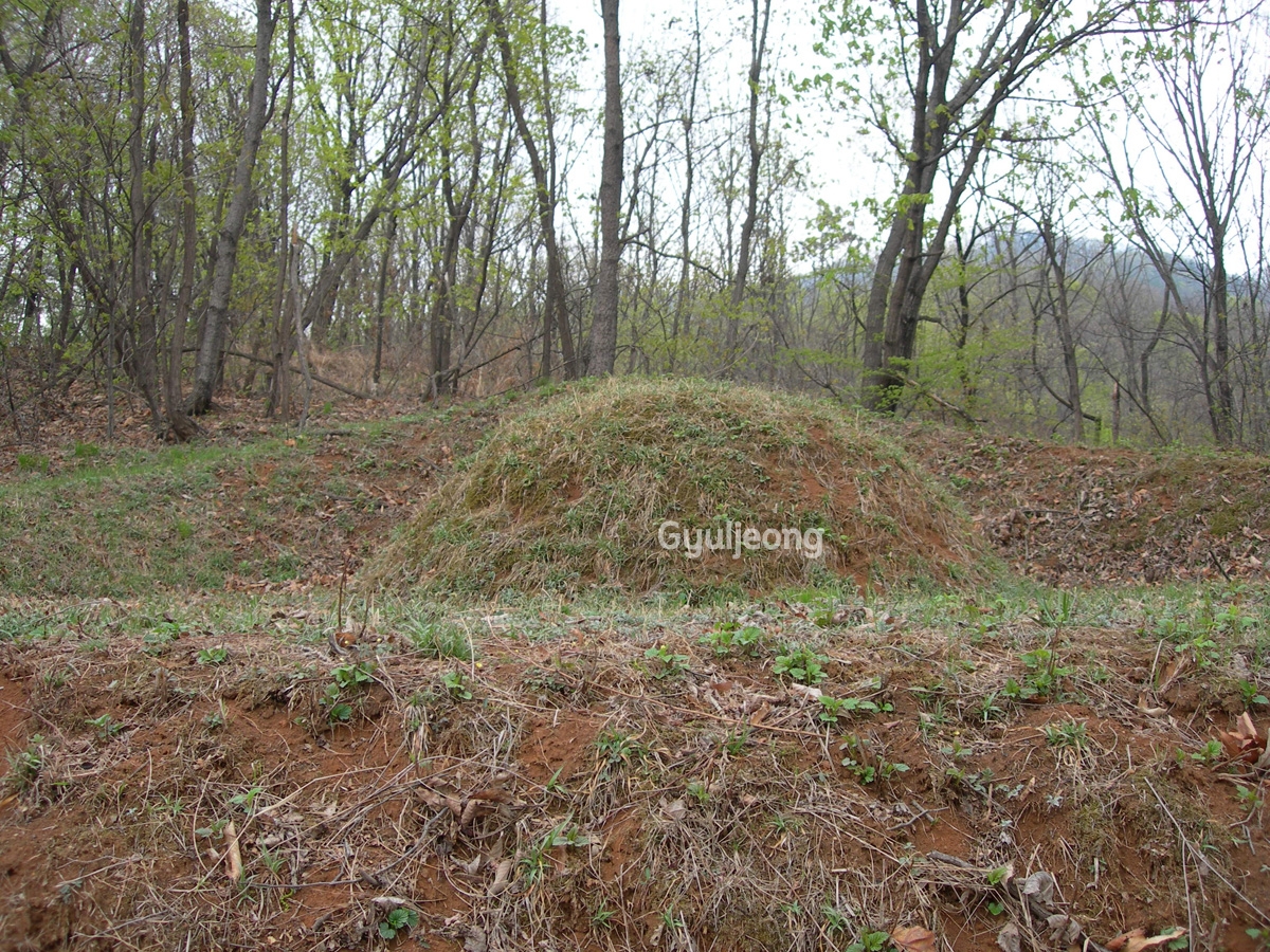 DSCN0788.JPG