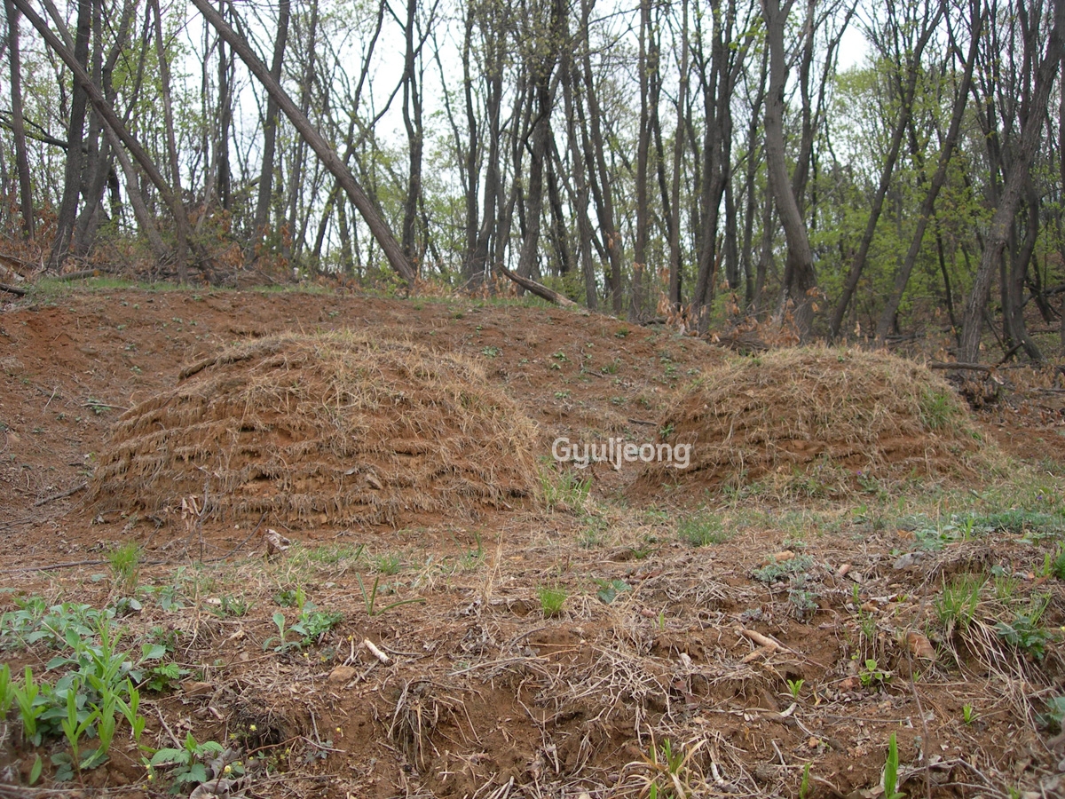 DSCN0787.JPG