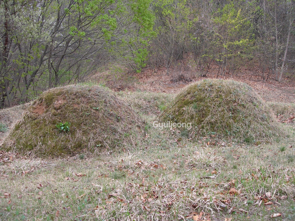 DSCN0789.JPG
