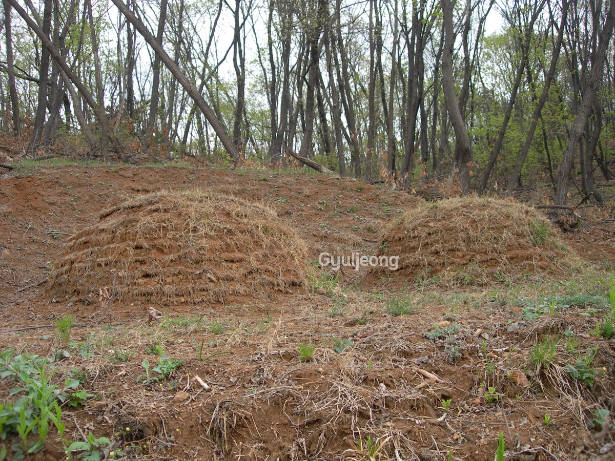 DSCN0786.JPG
