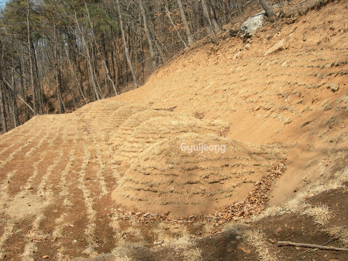 DSCN0910.JPG