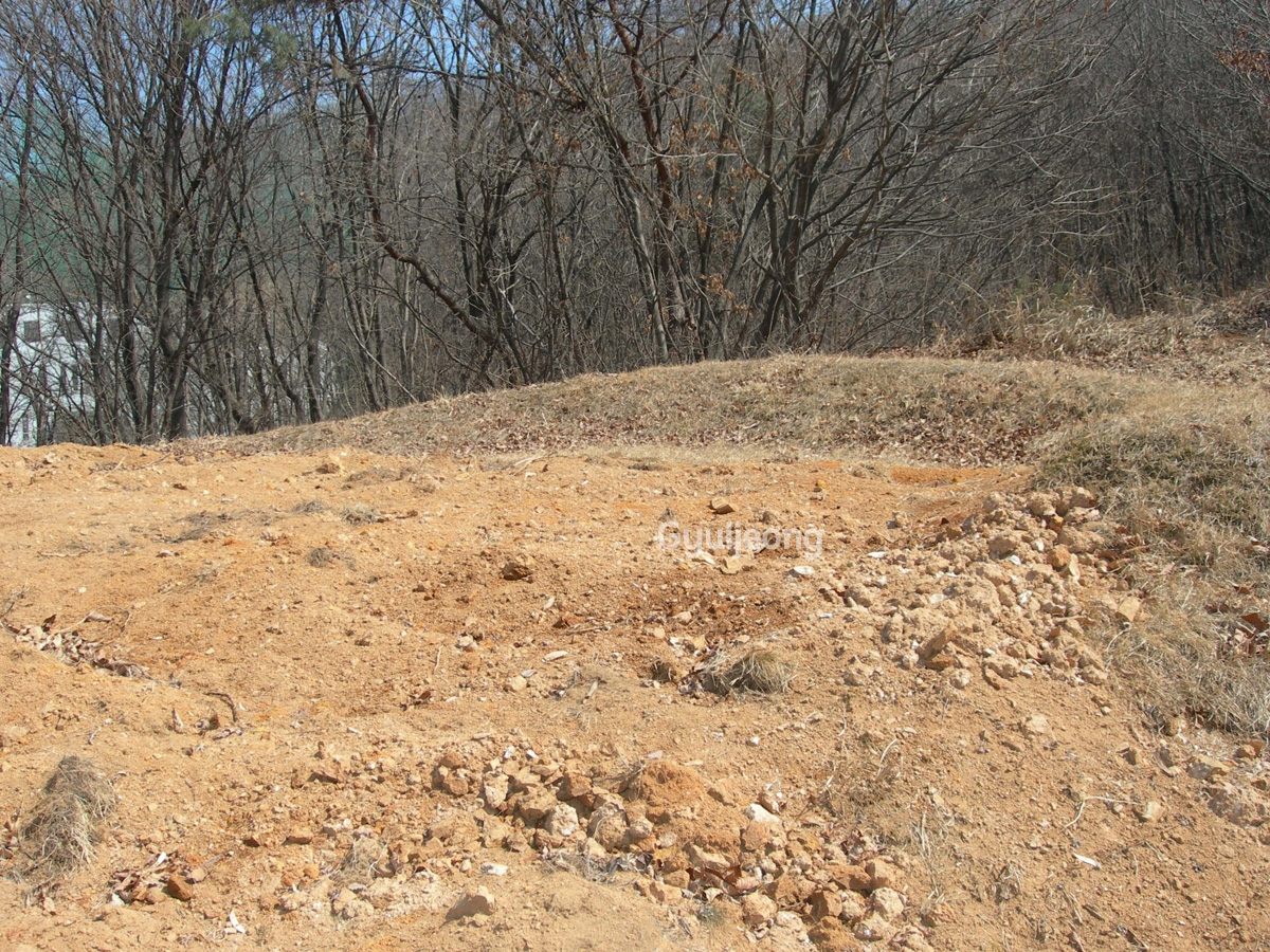 DSCN0921.JPG