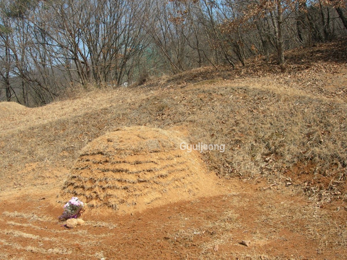 DSCN0930.JPG