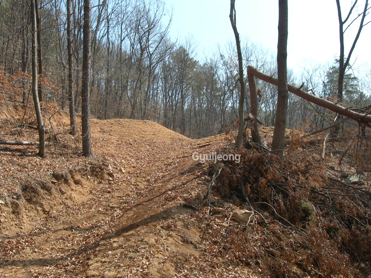 DSCN0920.JPG