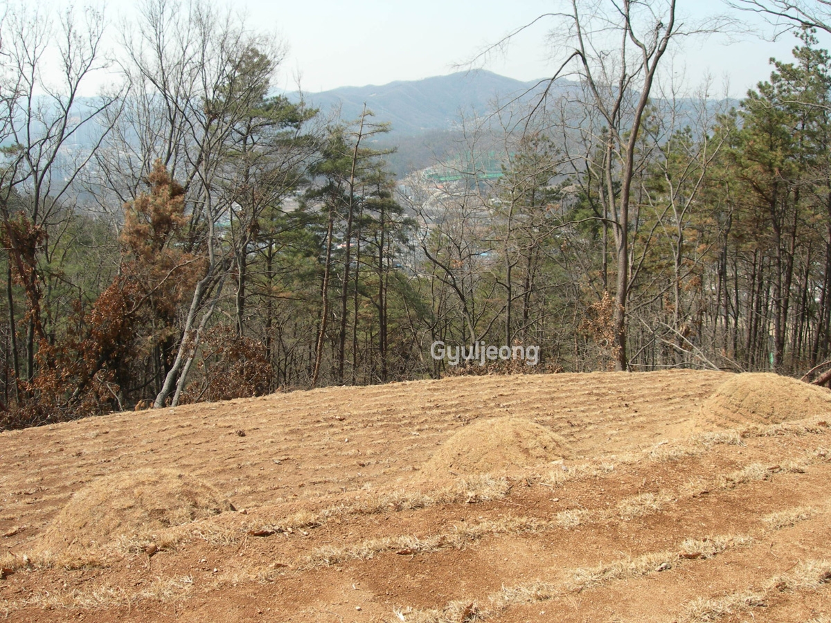 DSCN0917.JPG