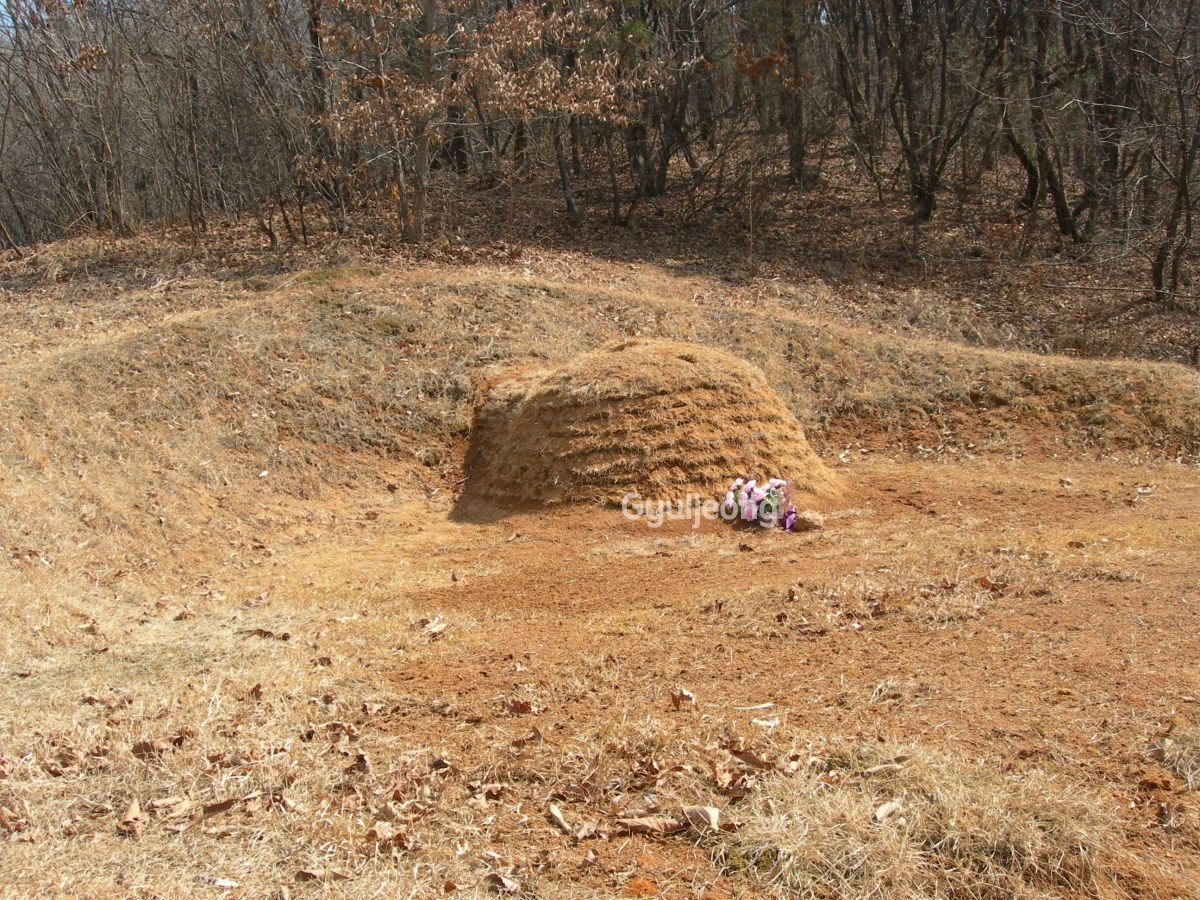 DSCN0929.JPG