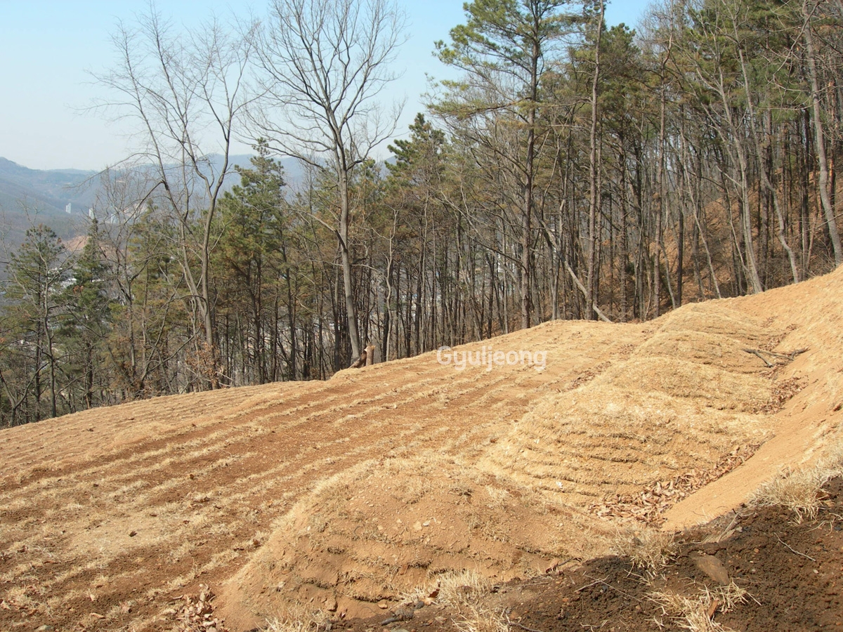 DSCN0912.JPG